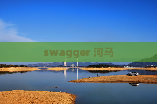 swagger 河马